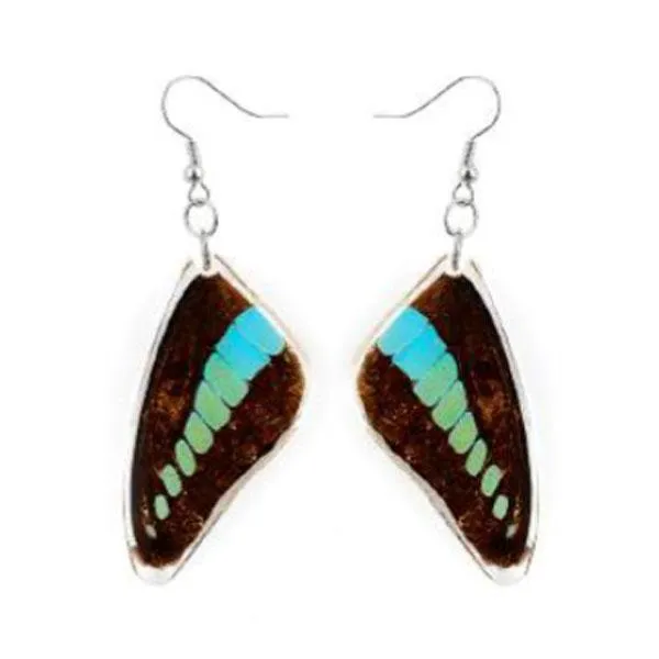 Bottle Swallowtail Butterfly Earrings