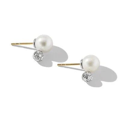 David Yurman Solari Stud Earrings