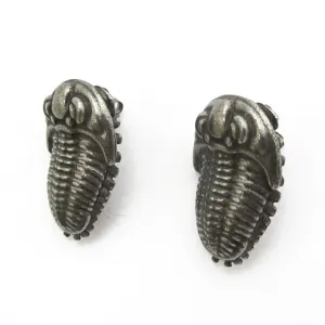 Trilobite Earrings